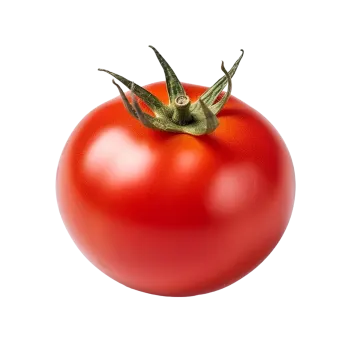 a red tomato on a white background