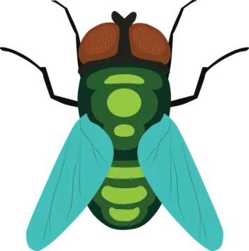 a green and brown fly insect