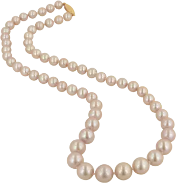 a cultured pearl necklace