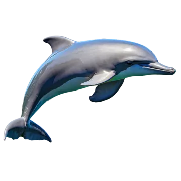 a dolphin jumping in the air on a white background