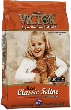 a little girl holding a cat in her arms