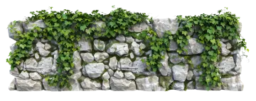 a stone wall with ivy growing on it