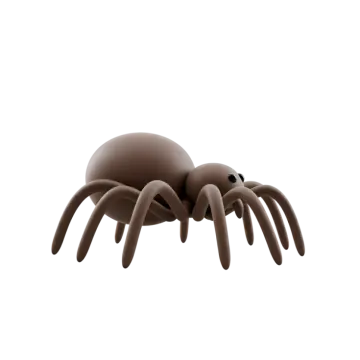 a brown spider on a white background