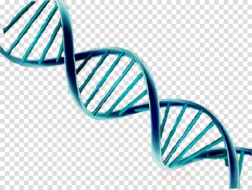 a blue dna molecule on a white background