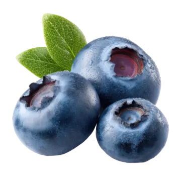 three blueberries with leaves on a white background