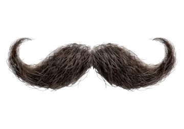 a pair of mustaches on a white background