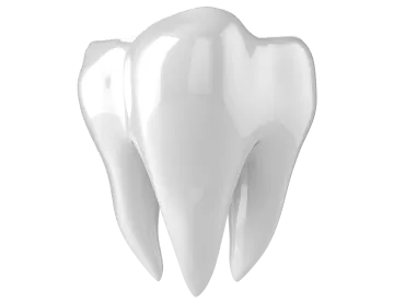 a tooth on a white background