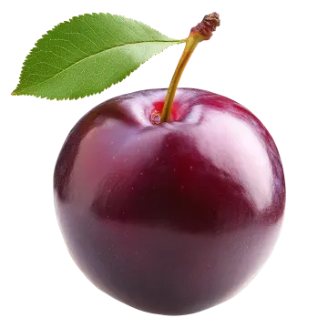 a cherry with a green leaf