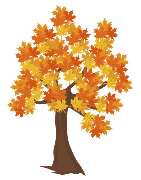 a tree with autumn leaves on it