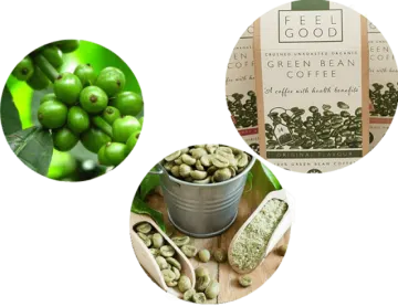 four different types of green beans