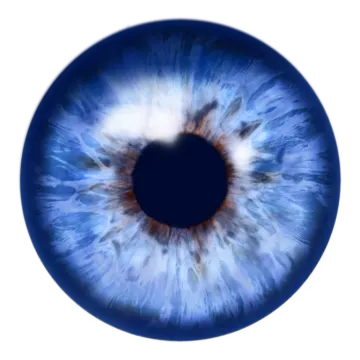 an image of a blue eye