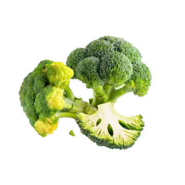two pieces of broccote
