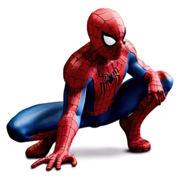 a spider is sitting on the ground