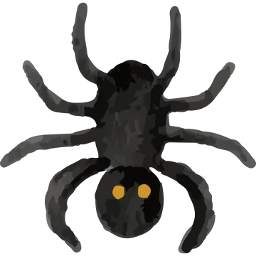 a black spider on a white background