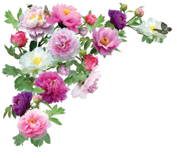 a bunch of pink and white flowers with green leaves