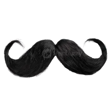 a black mustache on a white background