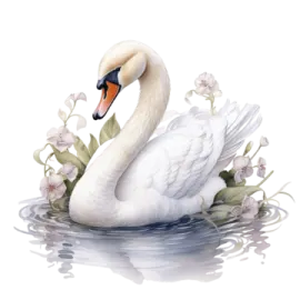 a white swan swimming in a body of water