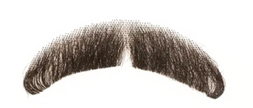 a close up of a mustache on a white background