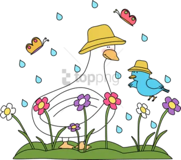 a duck and a bird in the rain