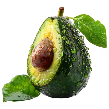 an avoca with leaves and water on it