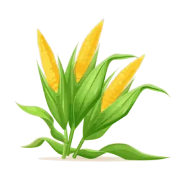 a yellow flower on a white background