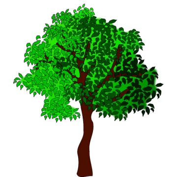 a tree with green leaves on it
