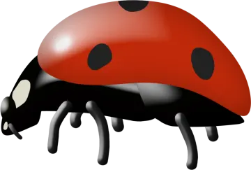 a lady bug with black spots on it's back