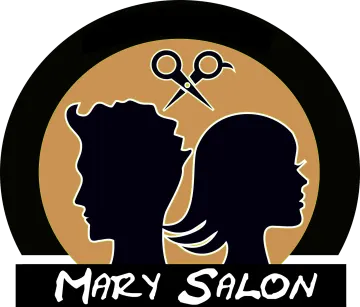 the logo for mr salon