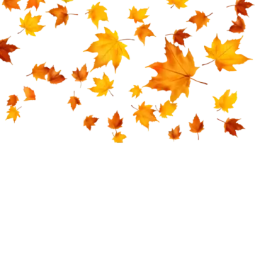 a bunch of autumn leaves flying in the air