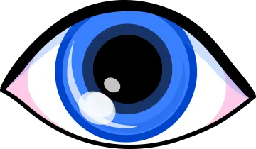 an image of a blue eye