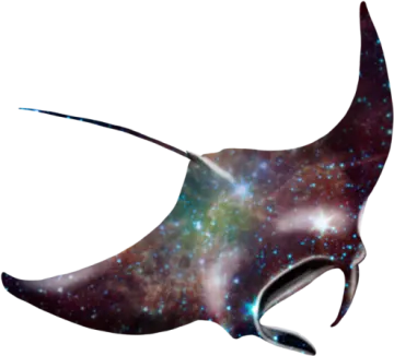 an image of a manta ray