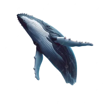 a blue whale jumping in the air