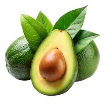 avocas with leaves on a white background