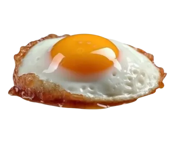 a fried egg on a white background
