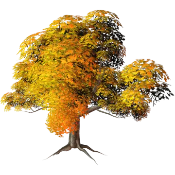 a tree with yellow leaves on it