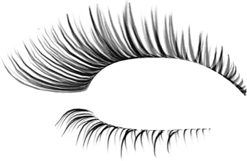 a pair of eyelashes with long lashes