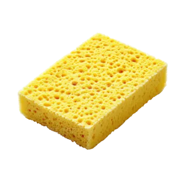 A sponge on a white background