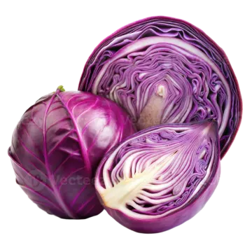 two red cabbages on a white background
