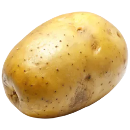 a potato on a white background