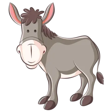 a donkey on a white background