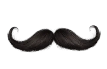 a black mustache on a white background
