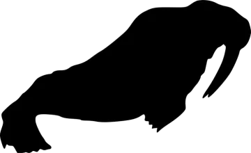 a black and white silhouette of a buffalo