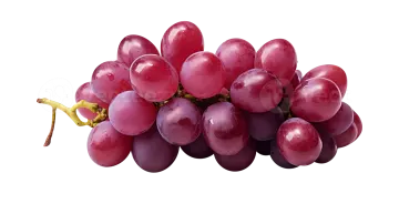 a bunch of grapes on a white background