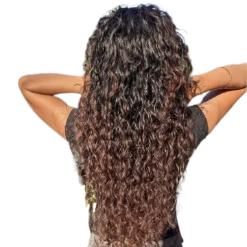 the back of a woman with long curly hair