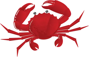 a red crab on a white background