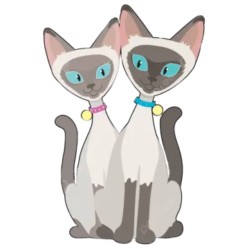 two siam cats with blue eyes