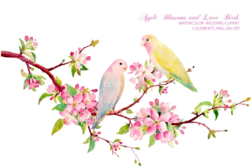 two birds sitting on a branch with pink flowers