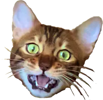 a close up of a cat's face with green eyes