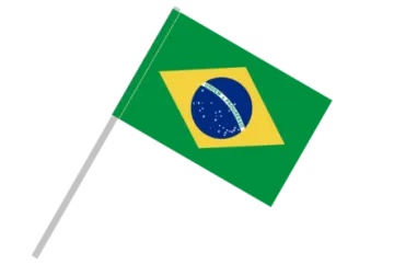 the flag of brazil