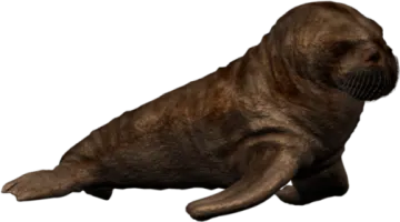 an image of a seal on a white background